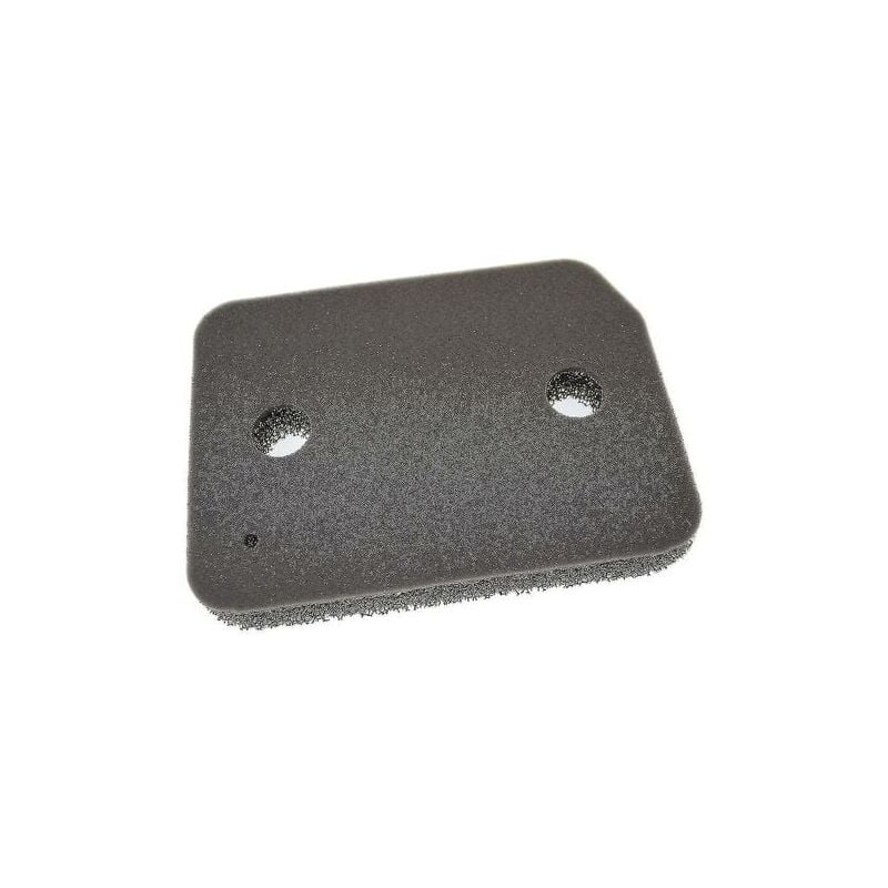 foto del prodotto filtro in spugna di schiuma sostitutivo per asciugatrice miele serie t1 