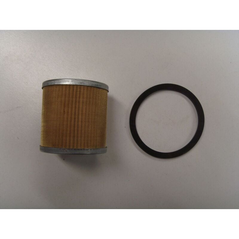 foto del prodotto filtro nafta gasolio motore diesel lombardini 3ld 4ld 7ld 8ld 9ld 10ld 2175.009