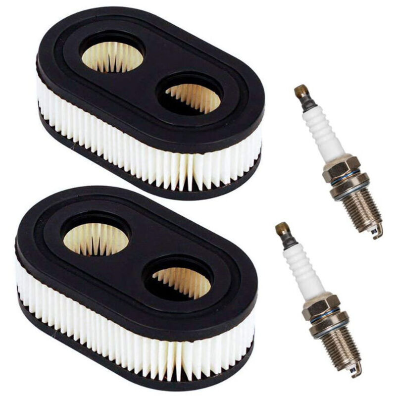 foto del prodotto filtro olio o aria per motore termicoparti del motorefiltro aria per tosaerba con 2 candele