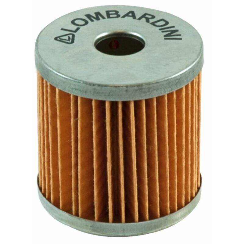 foto del prodotto filtro piccoli motori lombardini riferimento originale 2175.009