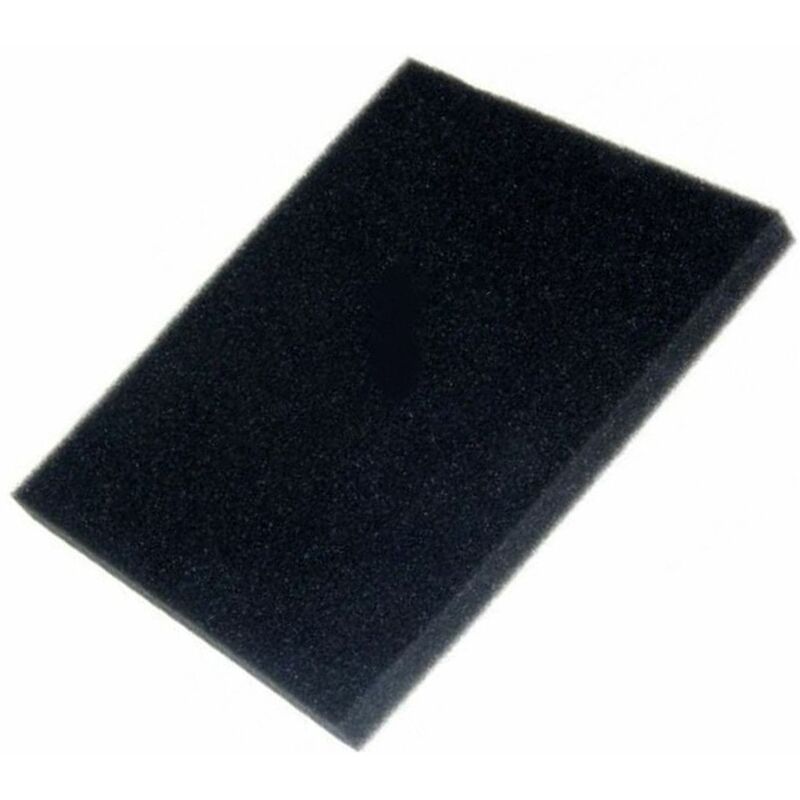 foto del prodotto filtro spugna aspirapolvere philips 3179633663946695067