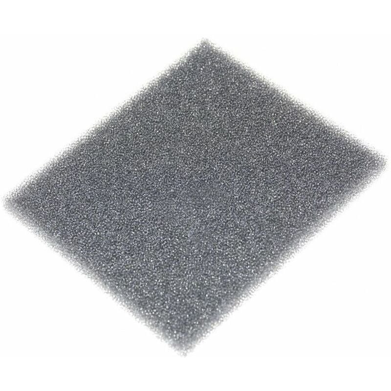 foto del prodotto filtro spugna aspirapolvere rowenta 317965