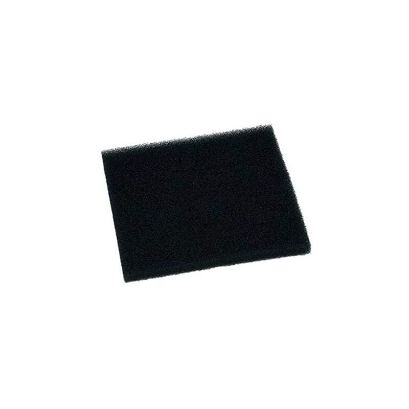 foto del prodotto filtro spugna aspirapolvere rowenta 3179653616360198867