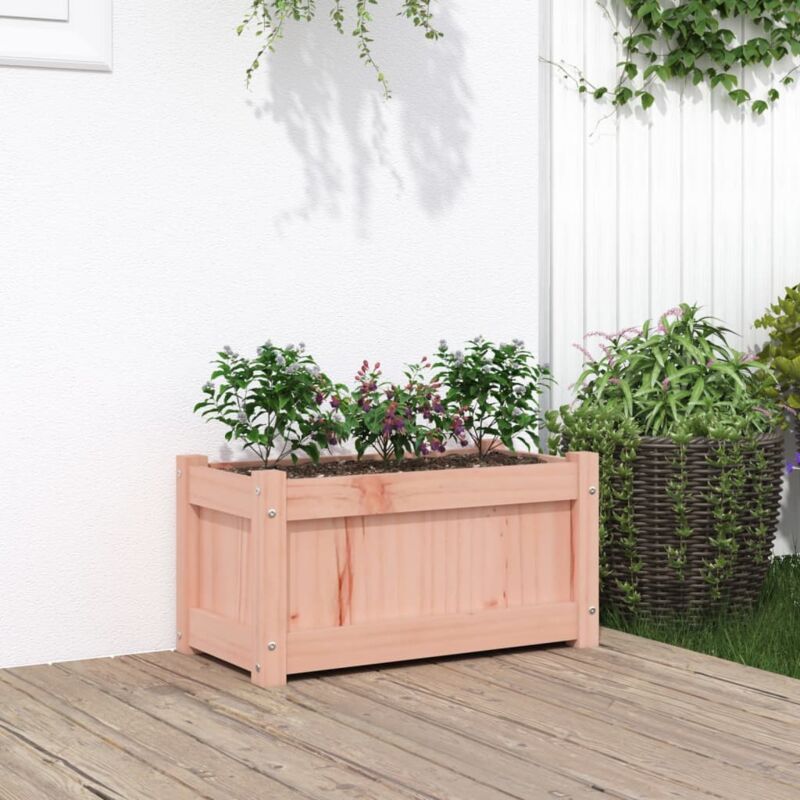 foto del prodotto fioriera da giardino 60x31x31 cm in legno massello di douglas vidaxl
