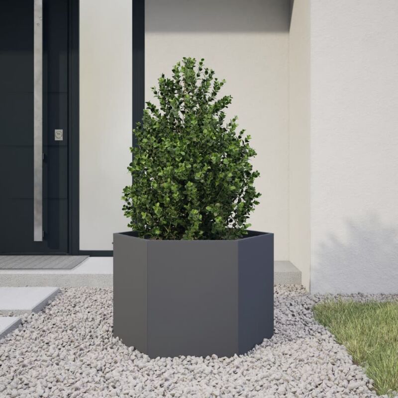 foto del prodotto fioriera da giardino antracite esagono 69x60x45 cm in acciaio vidaxl