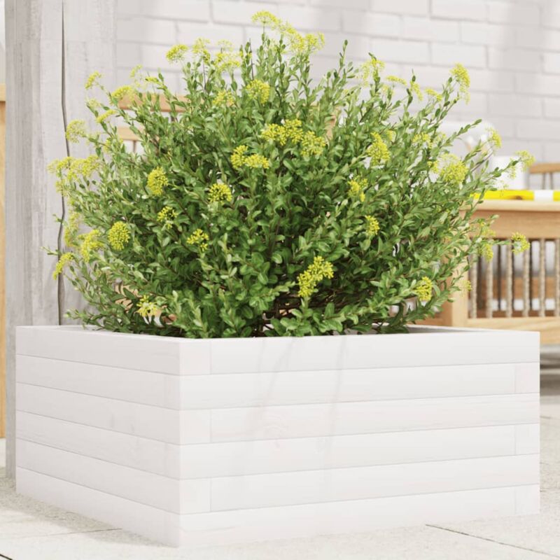 foto del prodotto fioriera da giardino bianca 50x50x23 cm legno massello di pino vidaxl