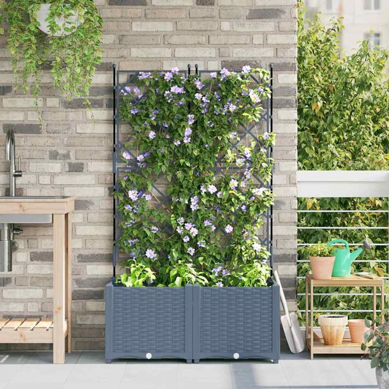 foto del prodotto fioriera da giardino con graticcio 2 pz grigio chiaro 80x40x143 cm vidaxl