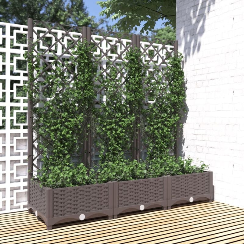 foto del prodotto fioriera da giardino con graticcio marrone 120x40x121,5cm in pp vidaxl