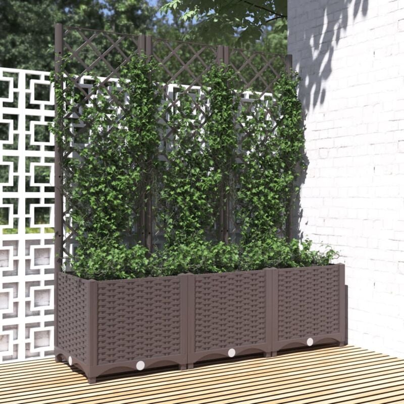 foto del prodotto fioriera da giardino con graticcio marrone 120x40x136 cm in pp vidaxl