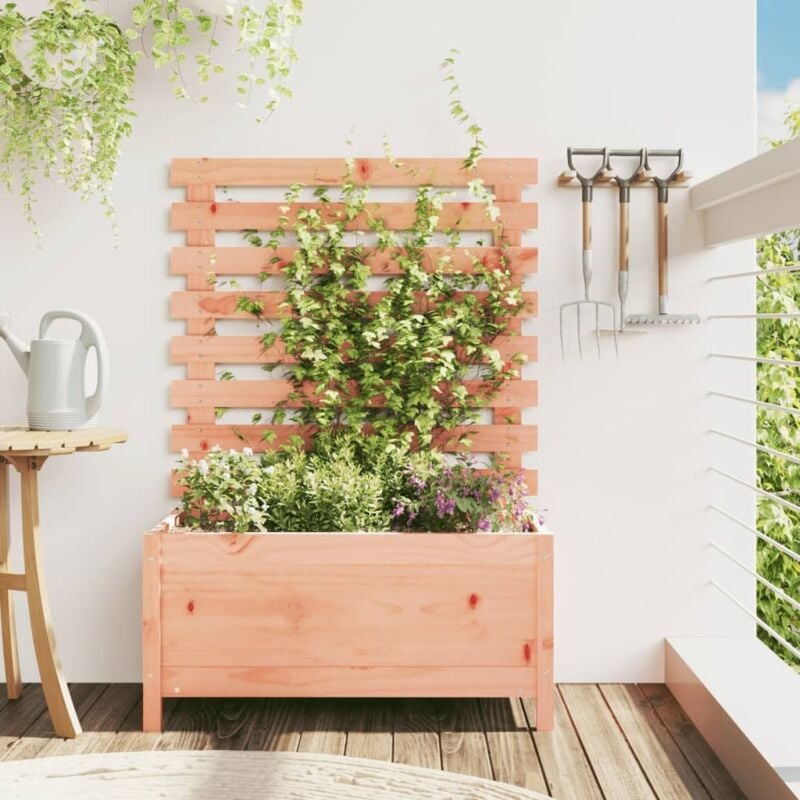 foto del prodotto fioriera giardino con rastrelliera 79x39,5x114cm legno douglas vidaxl