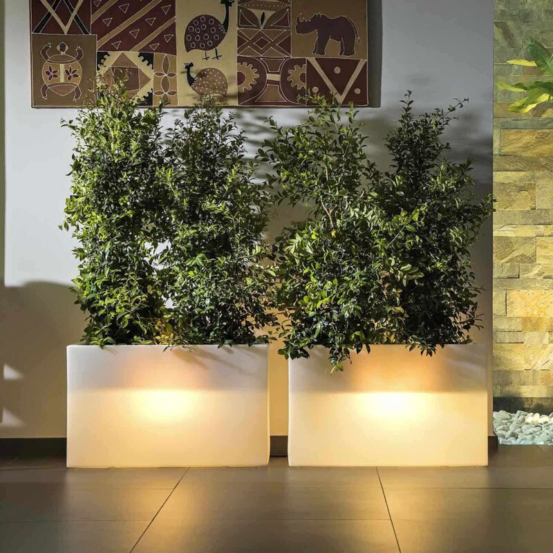 foto del prodotto fioriera lampada vaso luminoso rettangolare in resina 90x30 cm h 80 mod. flowerpot con led multicolor cavo