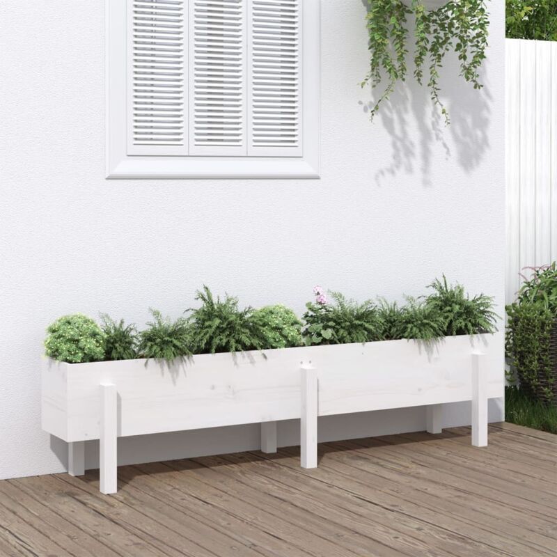 foto del prodotto fioriera rialzata da giardino bianca 160x30x38 cm massello pino vidaxl