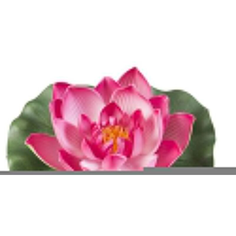 foto del prodotto floating lotus foam fuchsia 17cm decorazione sintetica galleggiante per laghetti velda