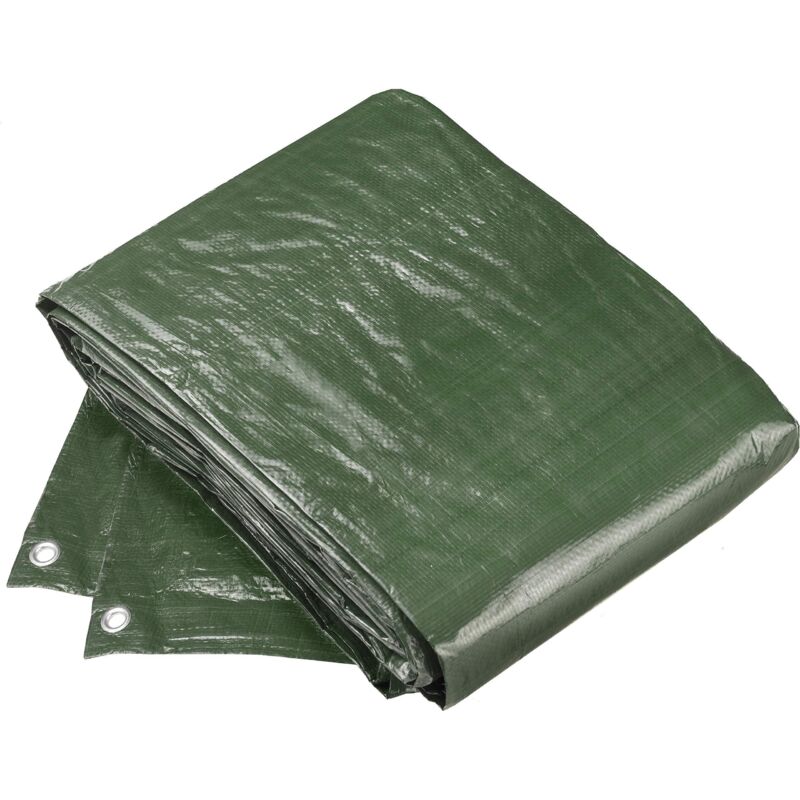 foto del prodotto flor80415 - telo di protezione 5 x 6 mt, 100g - connex