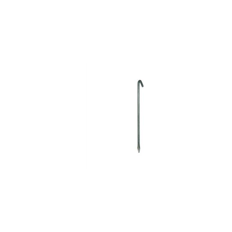 foto del prodotto flores cortes scatola 25 chiodi negozio 200x6mm 49601 fiori recisi