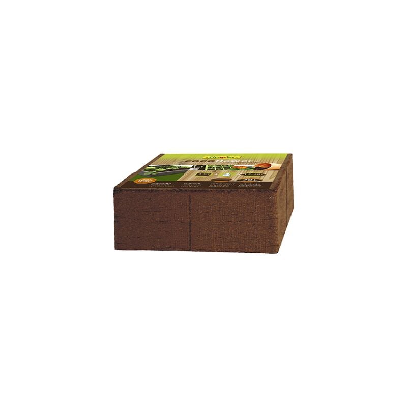 foto del prodotto flower taco di coco sostato fiore 70 l