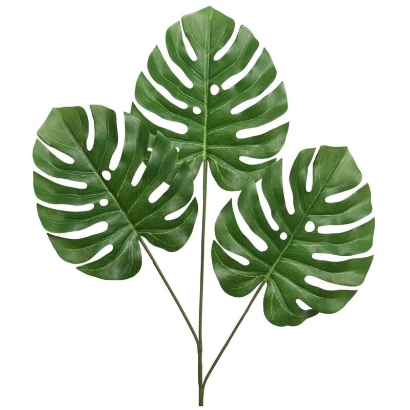foto del prodotto foglia larga 76cm monstera