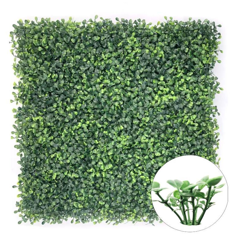 foto del prodotto foglio per traliccio in legno da giardino espandibile 50 50 cm rapanda