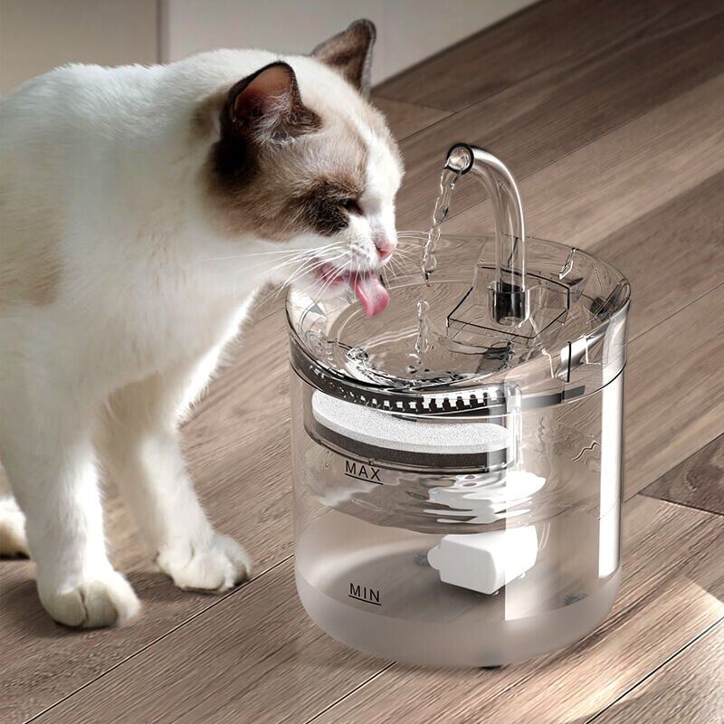 foto del prodotto fontana automatica per gatti e cani, distributore di acqua trasparente per gatti con filtro di ricambio, elettrico ultra silenzioso