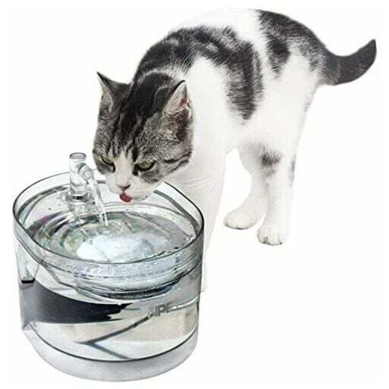 foto del prodotto fontanella automatica per gatti e cani, distributore d acqua per animali domestici con filtro, 1,6 l, elettrica e ultra silenziosa wf030