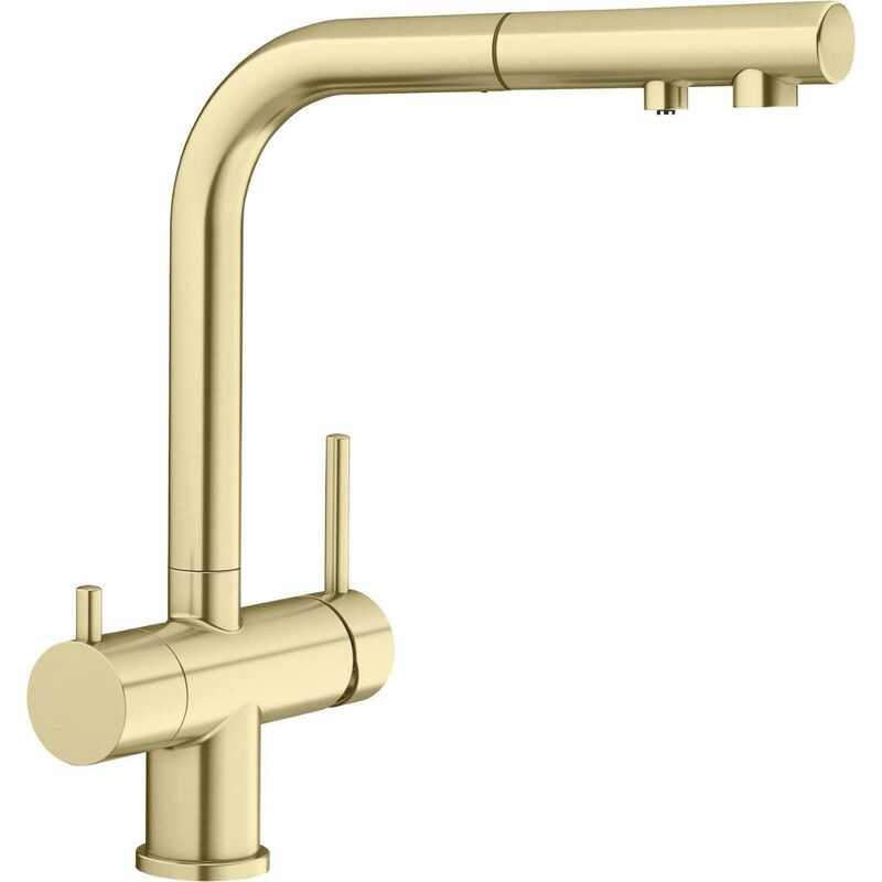 foto del prodotto fontas s ii miscelatore da lavello con bocca di erogazione estraibile e funzione di filtraggio, color oro satinato 526694 blanco