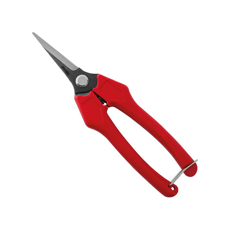 foto del prodotto forbice forbici cogliuva vendemmia pota lame strette dritte 18cm ausonia