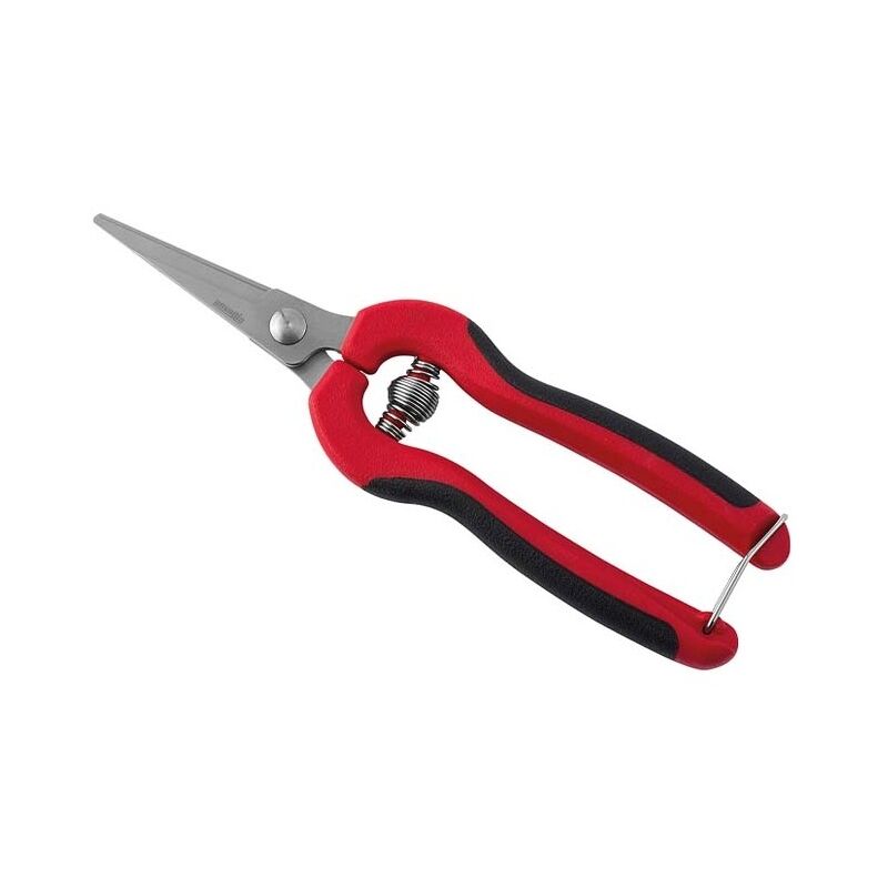 foto del prodotto forbice ideale per la vendemmia cogliuva 19 cm