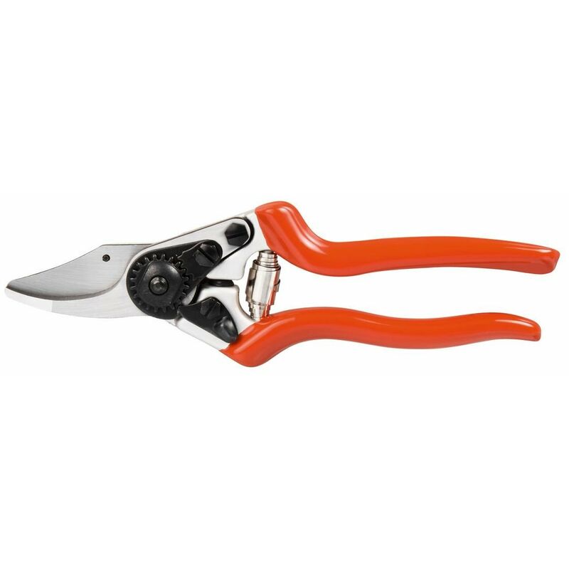 foto del prodotto forbice profi 20 stocker
