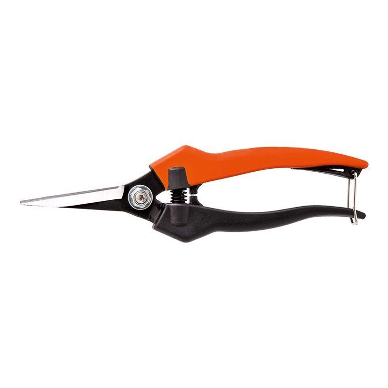 foto del prodotto forbice vendemmia a punta 18 cm stocker