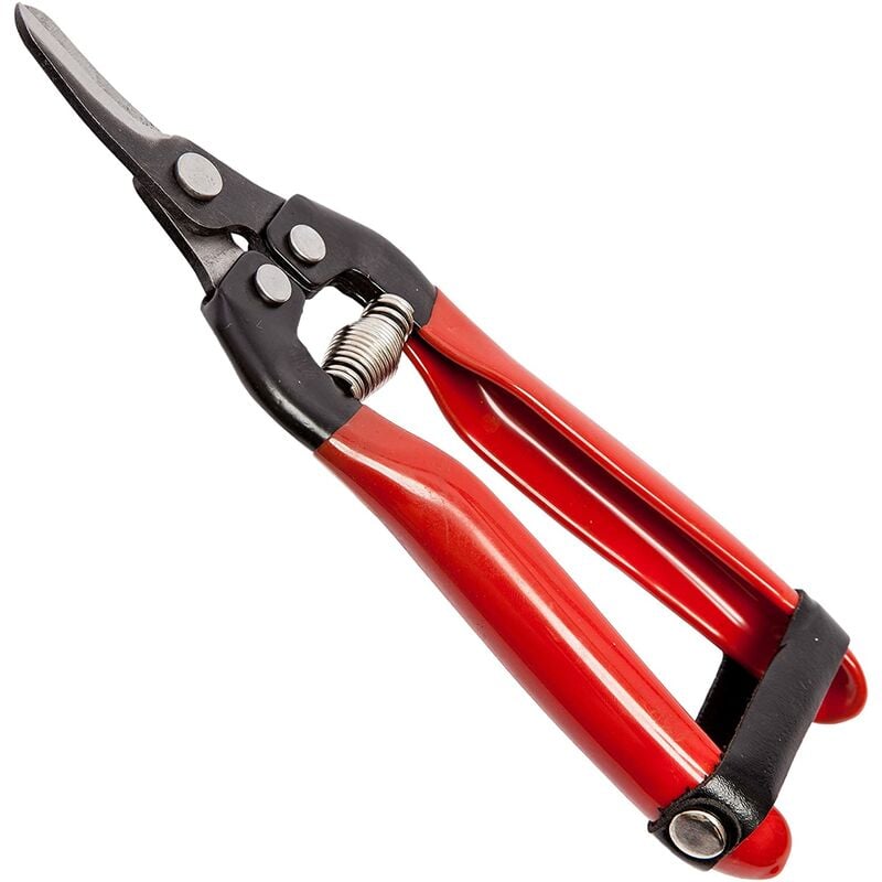 foto del prodotto forbici cogli agrumi con lama curva per raccolta uva e frutteto 16 cm