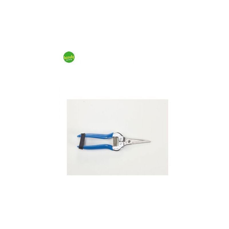foto del prodotto forbici cogli uva 19 cm
