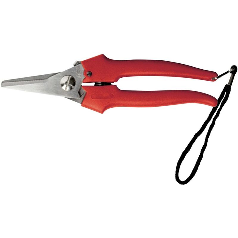 foto del prodotto forbici cogliuva art. 31327 - cm 19 ausonia