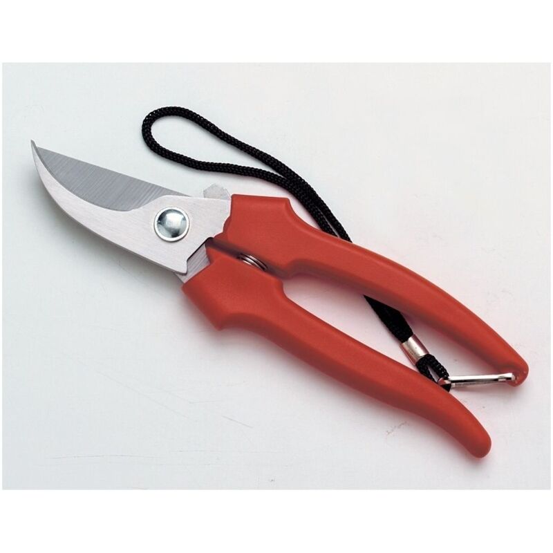 foto del prodotto forbici cogliuva art. 35031 - cm 19 ausonia