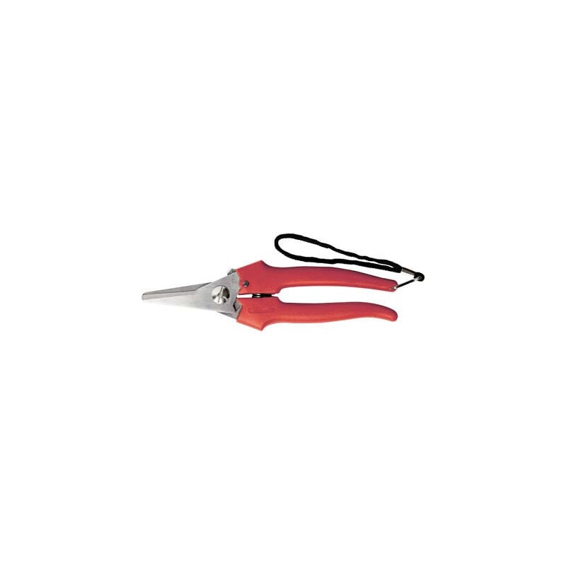 foto del prodotto forbici cogliuva eco art. 31327 cm 19 ausonia