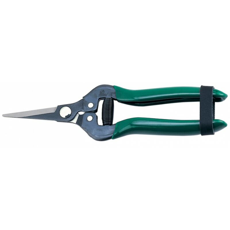 foto del prodotto forbici cogliuva papillon 192mm - cf. blister