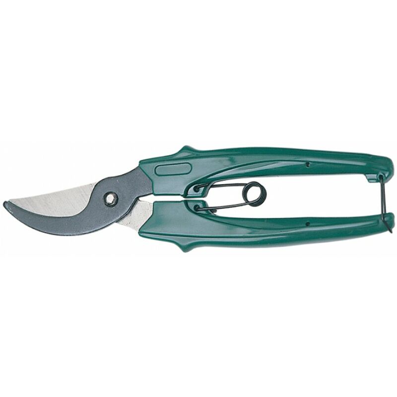 foto del prodotto forbici cogliuva papillon baby 165mm cf. blister