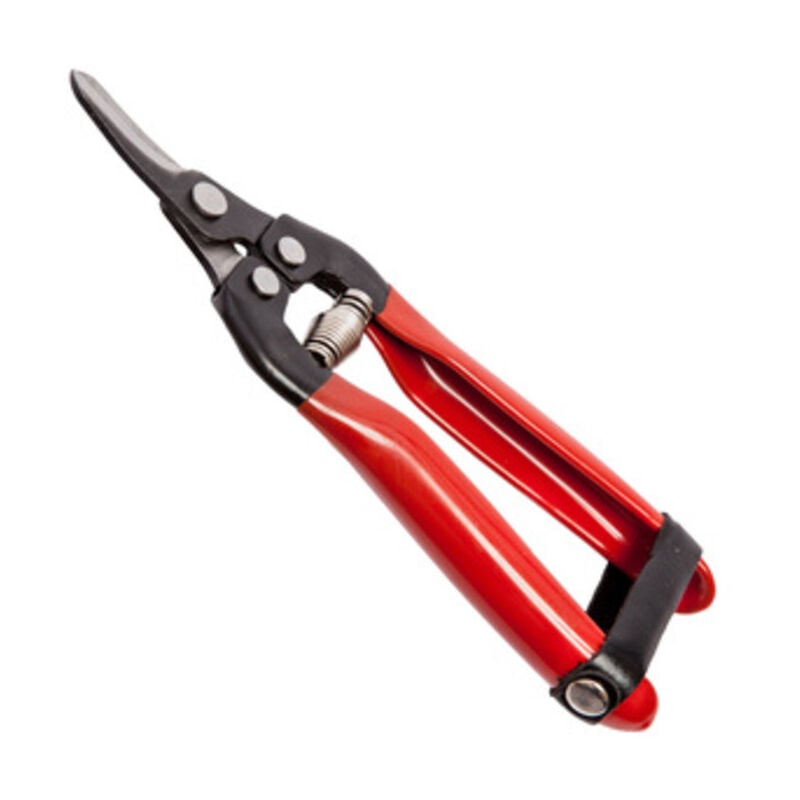 foto del prodotto forbici falci per uva lame curve cm 19. prezzo per 1 pezzo.