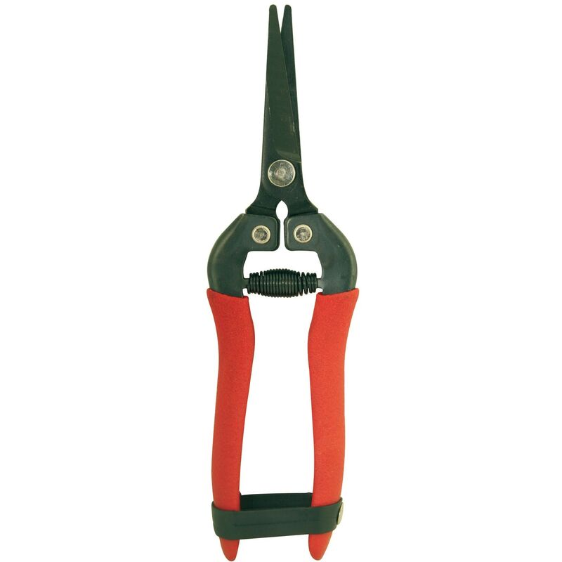 foto del prodotto forbici ortofrutta cogliuva in acciaio lama curva 18cm brixo