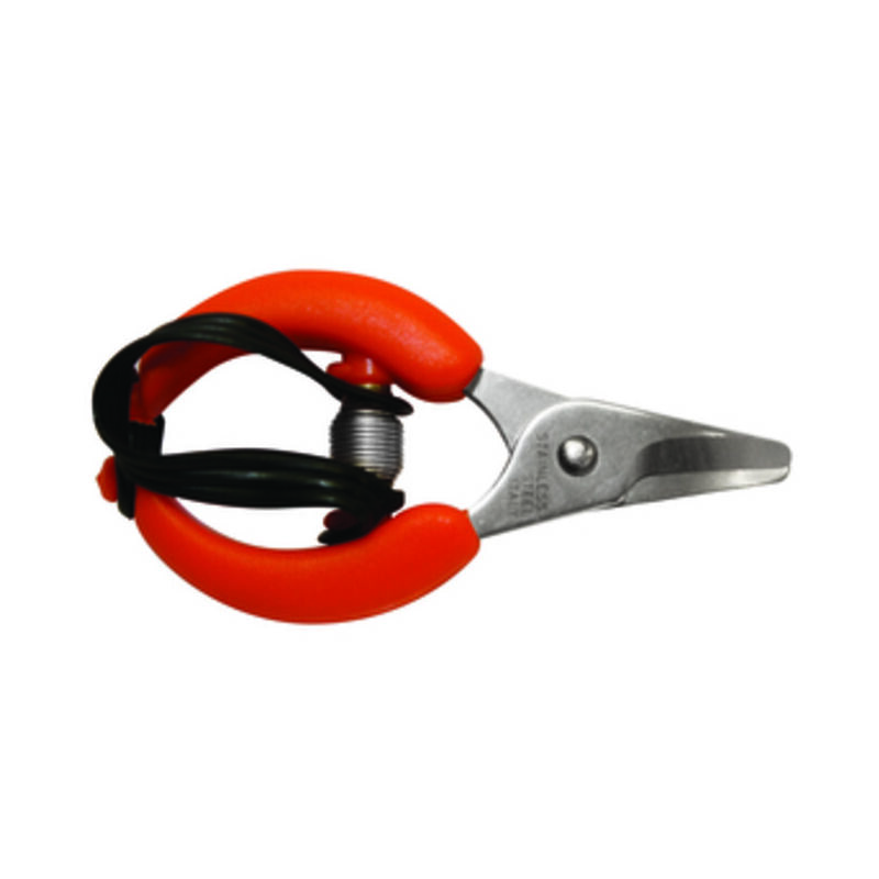 foto del prodotto forbici per agrumi lame inox. prezzo per 1 pezzo.