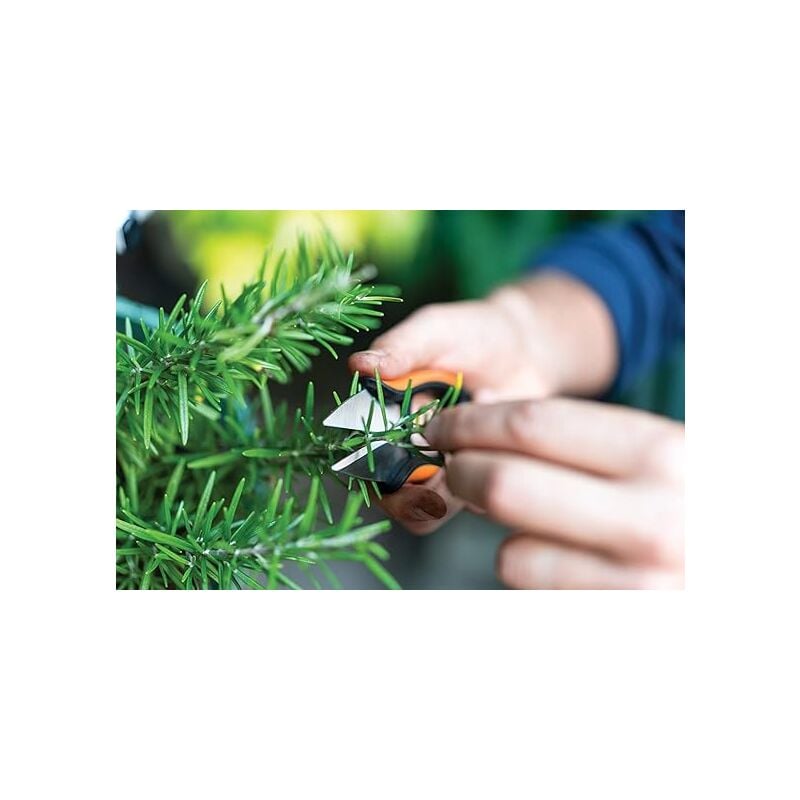 foto del prodotto forbici per erbe aromatiche solid sp220 fiskars 13 cm