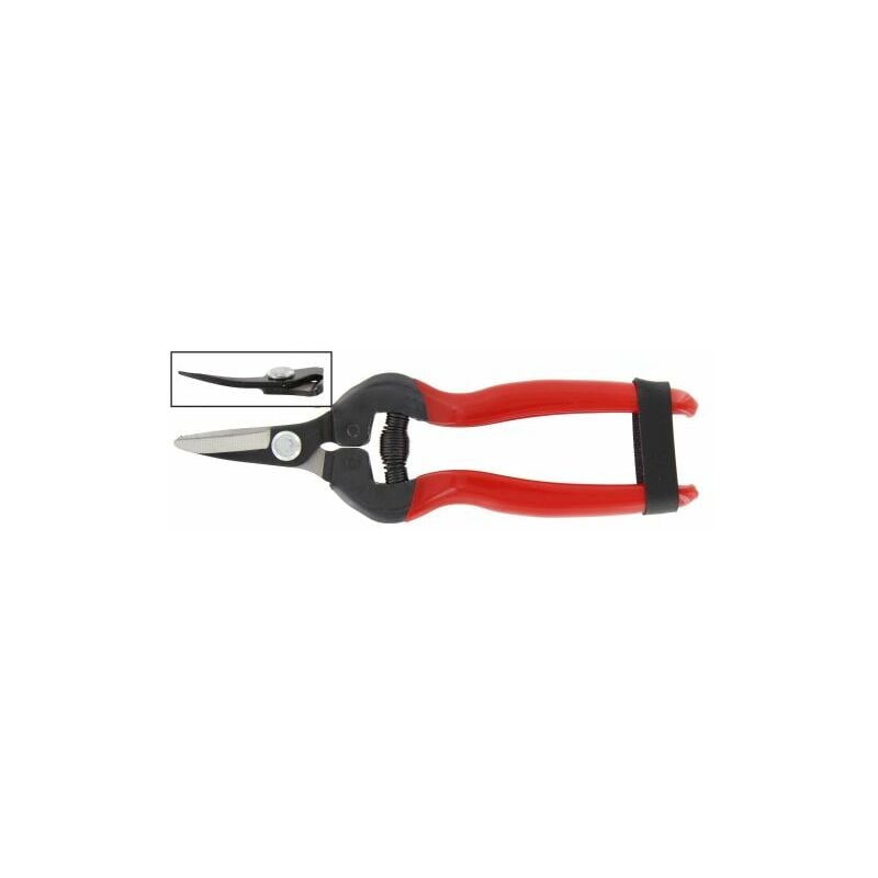 foto del prodotto forbici per uva lame curve prof. rif.21095