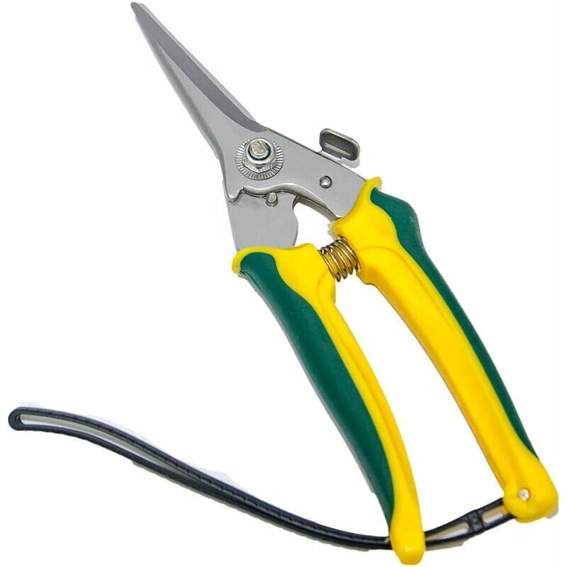 foto del prodotto forbici per zoccoli, forbici per zoccoli di capra, forbici per zoccoli in acciaio al carbonio, 20 cm