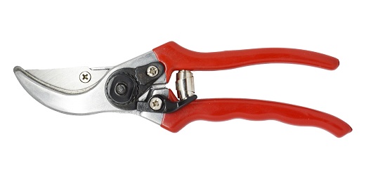 foto del prodotto forbici pota il campo bls