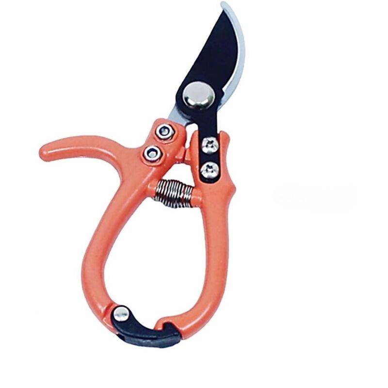 foto del prodotto forbici potatura cesoia lama curva 16cm di precisione ergonomica acciaio