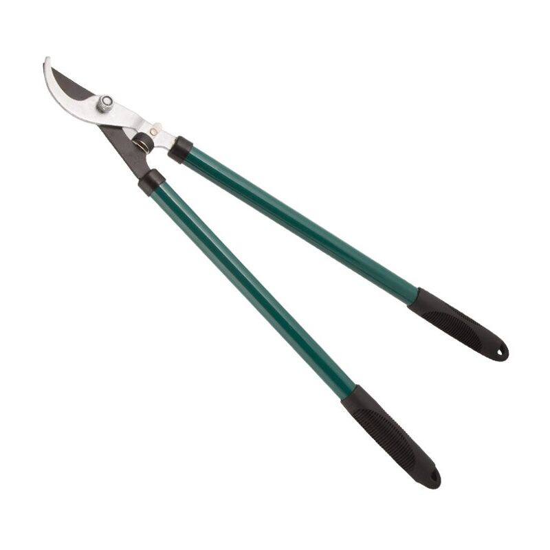foto del prodotto forbici potatura forgiata biacchi ettore