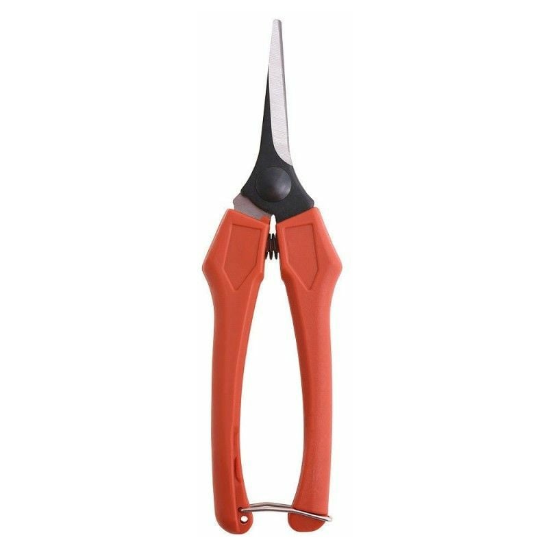foto del prodotto forbici vendemmia dritte 1 mano p10 18 cm.