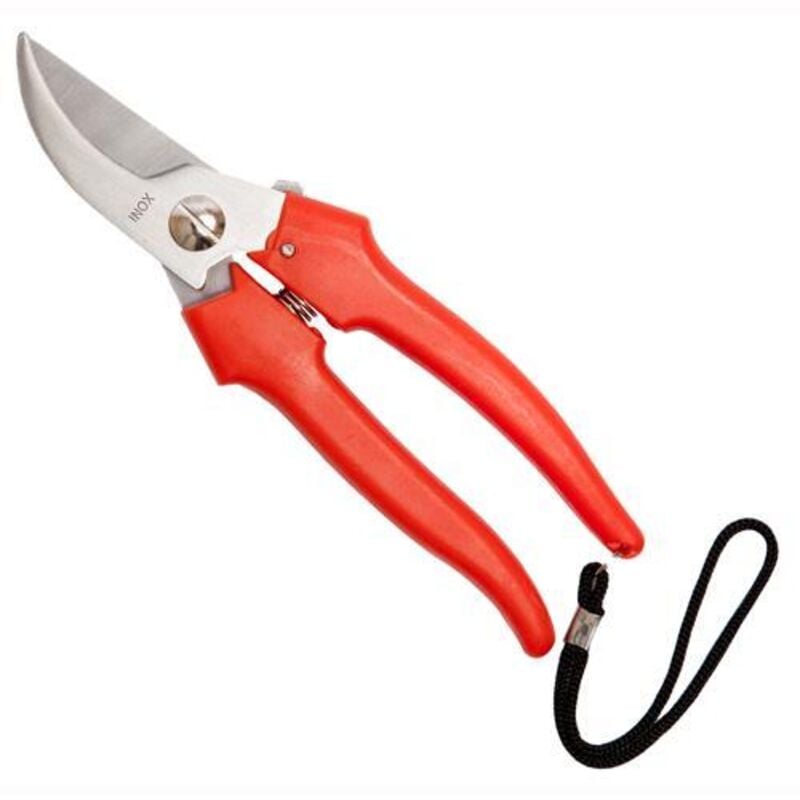 foto del prodotto forbicifalci per uva inox cm 19. prezzo per 1 pezzo.