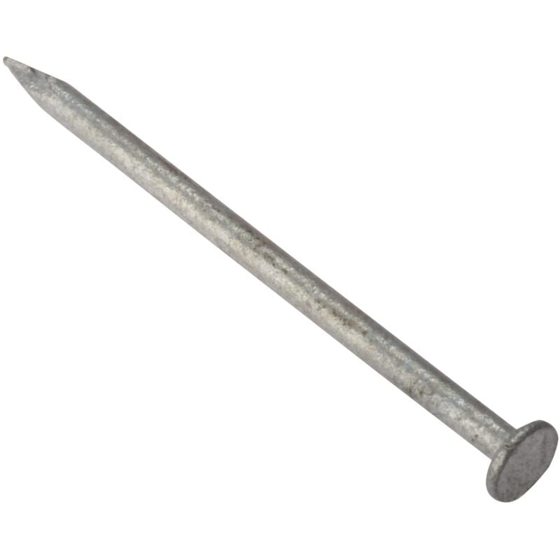 foto del prodotto forgefix rh100gb21 chiodo galvanizzato a testa rotonda, 2,5 kg