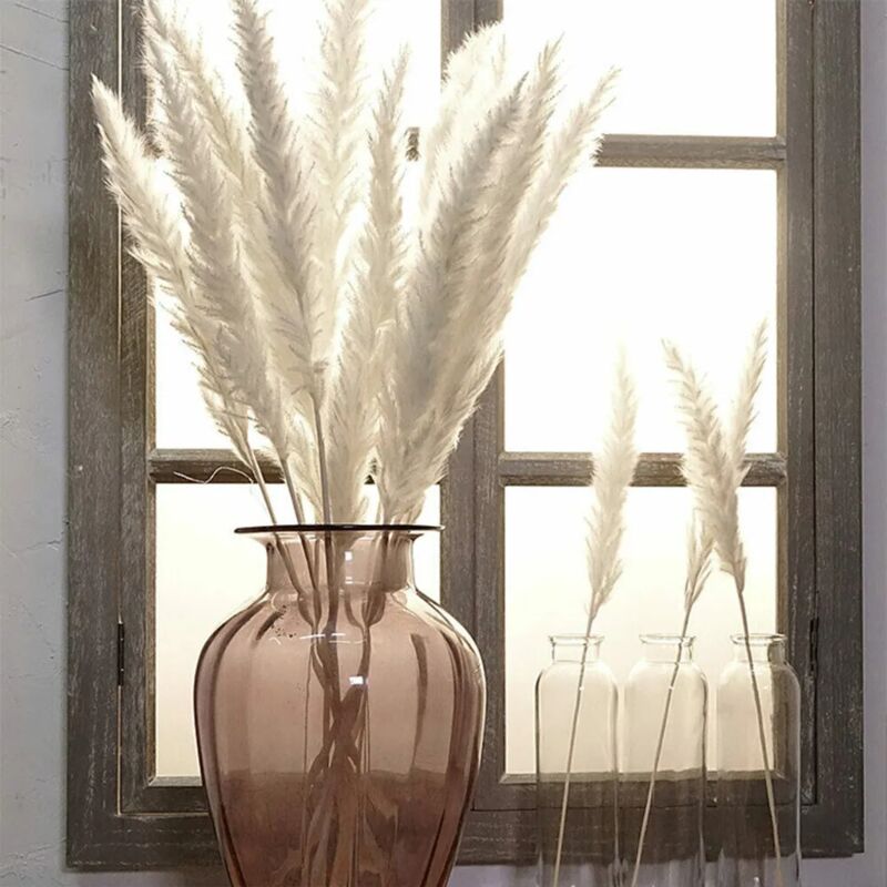 foto del prodotto fortuneville 15 pezzi di fiori secchi naturali bianchi fai da te pampas grass phragmites home party decoration