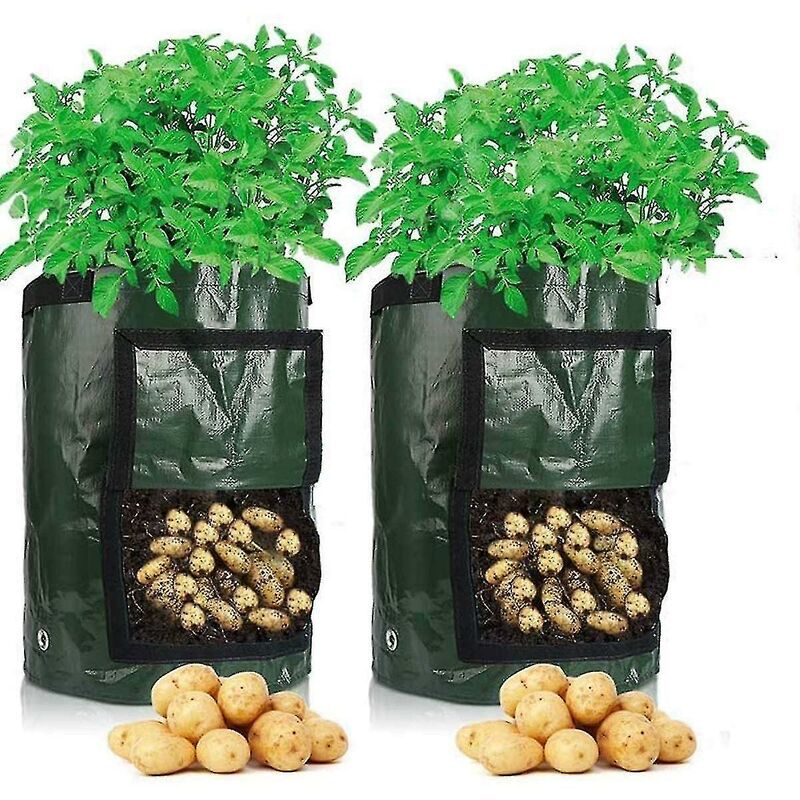 foto del prodotto fortuneville 2 sacchetti per piantare patate, realizzati in tessuto resistente